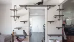 6 Inspirasi Ruangan untuk Kucing di Rumah