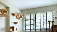 Kalau kamu punya ruangan yang besar di rumah, kamu bisa membuat playground untuk anabul di rumah. Foto: Instagram @foongfamilyflat via The Spruce
