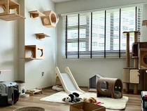 4 Jenis Pasir Kucing yang Ampuh Serap Bau dan Kotoran