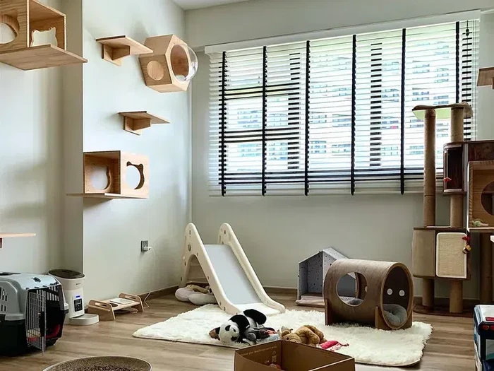 inspirasi ruangan untuk kucing di rumah/via The Spruce