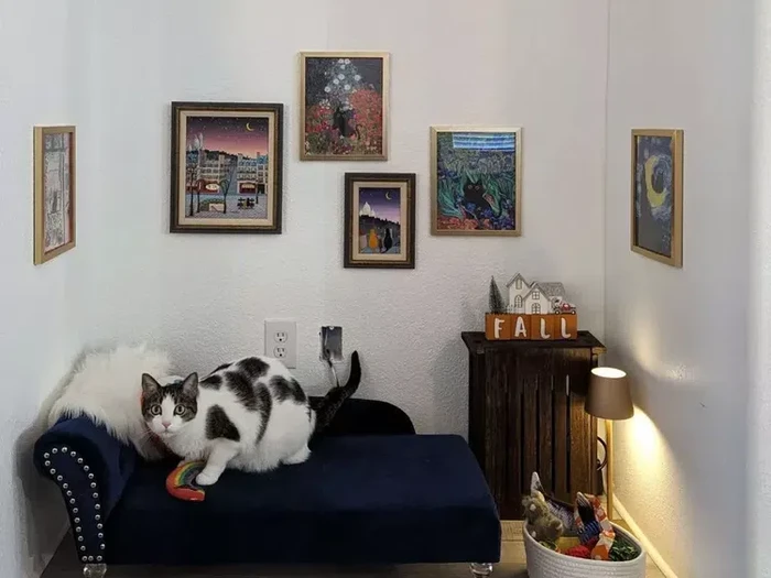 inspirasi ruangan untuk kucing di rumah/via The Spruce