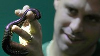Ini adalah bagian dari Zoological Society of London yang bekerja untuk melindungi dan memulihkan satwa liar di Inggris dan di seluruh dunia.  