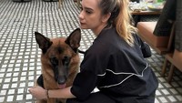 Posenya yang satu ini juga tak kalah mencuri perhatian. Ia berpose dengan seekor anjing ketika berada di dalam restoran. Foto: Instagram @anneofficial1990