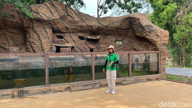 Klaudia Khristi yang viral disebut mirip Pevita Pearce ditemui di Solo Safari, Sabtu (6/1/2024).