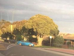 Kumpulan Foto Kebetulan Lucu dengan Jepretan Kamera yang Tepat