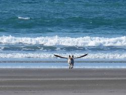 Kumpulan Foto Kebetulan Lucu dengan Jepretan Kamera yang Tepat