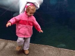 Kumpulan Foto Kebetulan Lucu dengan Jepretan Kamera yang Tepat