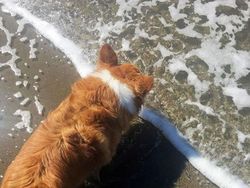 Kumpulan Foto Kebetulan Lucu dengan Jepretan Kamera yang Tepat