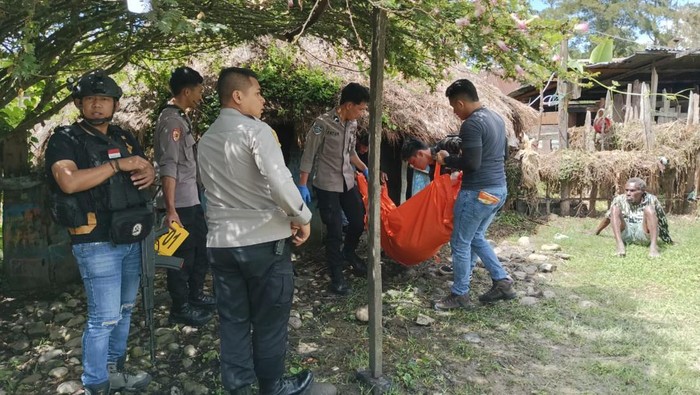 ODGJ di Jayawijaya menikam 4 warga hingga 2 orang tewas.