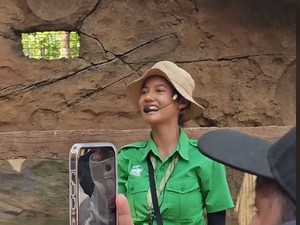 Bagai Pinang Dibelah Dua, Petugas Solo Safari Mirip Pevita Pearce