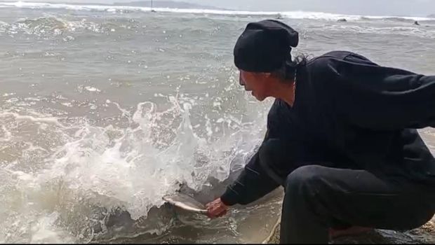 Tangkapan layar pemancing temukan duyung atau dugong terdampar di Pantai Karapyak, Pangandaran, Sabtu (6/1/2024).