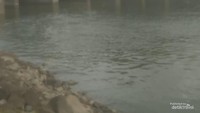 Bendungan Gerak Sungai Serayu Foto Malik