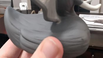 Jadi ini gajah atau bebek sih? Foto: (Bored Panda).