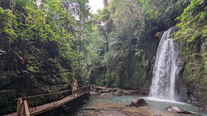 Air Terjun Ulu Petanu, Gianyar, Bali. (Tangkapan layar Google Earth)