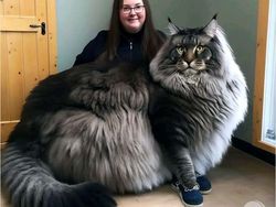 Foto Ini Buatan AI, Tapi Orang-orang Anggap Nyata