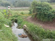 Sumbu Pendek Pembunuhan Danar selepas Nonton Bantengan di Pujon Malang