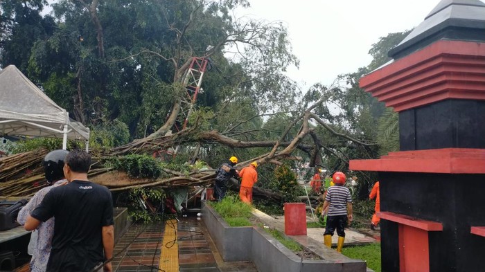 Pohon beringin di Alun-alun Blitar roboh diterjang hujan disertai angin kencang