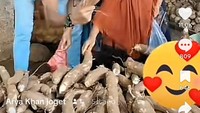 Begini potret Arya Khan saat melayani langsung pembeli. Ia terlihat memilihkan singkong yang bagus. Foto: TikTok Arya Khan Joget