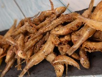 Resep Ikan Teri Goreng Ketumbar, Renyah Gurih Untuk Lauk Nasi