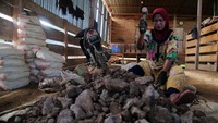 Tambang yang mulai beroperasi sejak tahun 1996 itu sudah memiliki izin Wilayah Pertambangan Rakyat dengan sistem pengolahan emas menggunakan tromol.