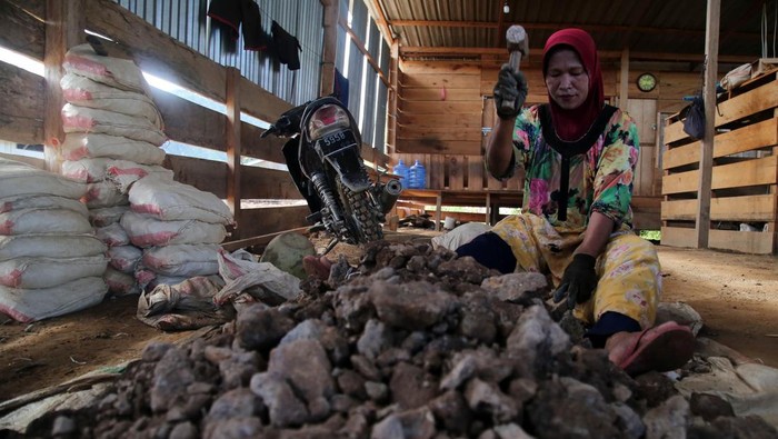 Seorang penambang memasuki lubang berkedelaman 15 meter di Pertambangan Rakyat Desa Anggai, Kecamatan Obi, Kabupaten Halmahera Selatan, Maluku Utara, Minggu (7/1/2024). Tambang yang mulai beroperasi sejak tahun 1996 itu sudah memiliki izin Wilayah Pertambangan Rakyat dengan sistem pengolahan emas menggunakan tromol yang mampu menghasilkan 10 gram emas setiap kali penggilingan dan hingga saat ini tambang emas rakyat tersebut masih berproduksi serta menjadi mata pencaharian sebagian warga di Desa Anggai. ANTARA FOTO/Andri Saputra/aww.