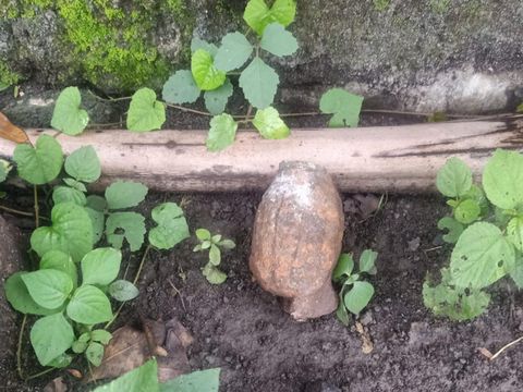 Warga temukan granat tangan atau granat nanas saat pulang mancing ikan di Dusun Gilik, Desa Kawo, Kecamatan Pujut, Lombok Tengah, NTB. (Humas Polres Lombok Tengah)