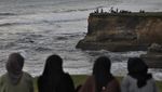 Pesona Wisata Pantai Nangai di Bengkulu Utara