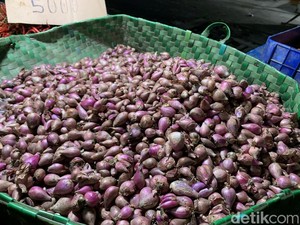 Curah Hujan Tinggi, Harga Bawang Merah di Sumut Melonjak Rp 50 Ribu per Kg