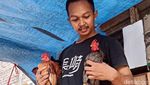 Ayam Serama Bikin Peternak Asal Probolinggo Untung