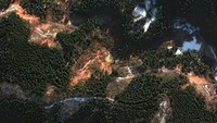 Longsor membuat sejumlah pepohonan di kawasan Machinomachi tampak gundul  imbas gempa.