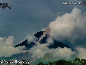 Lagi! Merapi Muntahkan Awan Panas ke Kali Bebeng