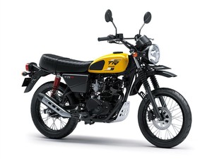 Kawasaki W175 TR Dapat Jubah Baru, Segini Harganya