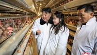 Sesekali wajah Kim Ju Ae menampakkan senyumannya ketika melihat telur-telur hasil dari peternakan Kwangchon.  