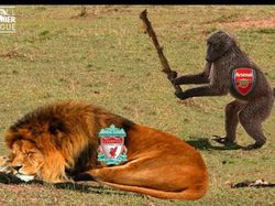 Meme Menohok Arsenal Didepak Liverpool dari Piala FA