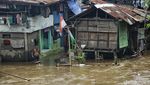 Normalisasi Sungai Ciliwung Kian Mendesak