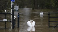 Sungai Trent di Inggris meluap dan mendorong pemerintah setempat mengumumkan siaga banjir. (David Davies/PA via AP)