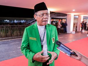 PPP soal Jokowi Mau Jembatani Semua: Kita Masih Fokus Kawal Suara