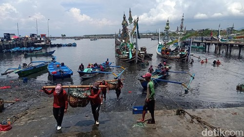 Proses pengangkutan ikan hasil tangkapan nelayan di tempat pelelangan ikan (TPI) Pelabuhan Perikanan Nusantara (PPN) Pengambengan, Kecamatan Negara, Kabupaten Jembrana, Senin (8/1/2024). (I Putu Adi Budiastrawan/detikBali)