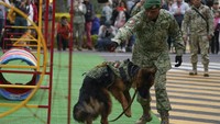 Arkadas menunjukkan aksinya di sela-sela perayaan ulang tahunnya. Terlihat sangar tapi Arkadas begitu menggemaskan saat merayakan ulang tahunnya.  