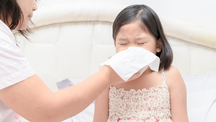 Kenali Perbedaan Sinusitis dan Rhinitis agar Tidak Salah Penanganan