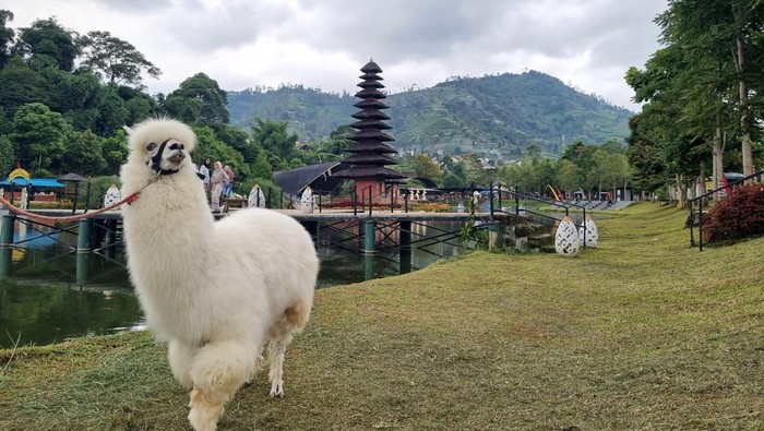 Taman Lembah Dewata, Lembang, Bandung