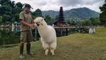Taman Lembah Dewata, Potret Wisata Rasa Bali di Lembang