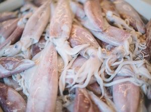 Cumi-cumi Sering Dikonsumsi Mentah, Apakah Aman Untuk Kesehatan?