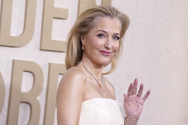 Gaya Gillian Anderson memakai gaun yang disebutnya motif vagina ini pun mencuri perhatian. Sampai-sampai seorang dokter kandungan ikut memberikan komentar. Dokter bernama Dr. Jill Krapf mengatakan motif gaun Gillian bukanlah vagina melainkan vulva atau bagian terluar dari alat kelamin wanita. Foto: Jordan Strauss/Invision/AP