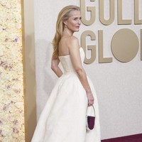 Dalam wawancara dengan British Vogue, Gillian mengatakan setiap motif atau bordiran vagina pada gaunnya dibuat selama 3,5 jam. Total untuk pembuatan bordiran alat kelamin wanita ini memakan waktu 150 jam. Foto: Jordan Strauss/Invision/AP