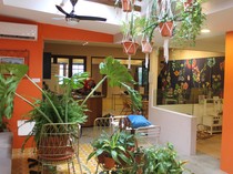 Spesial! Hanya Wanita yang Bisa Nongkrong di Kafe Cantik Ini