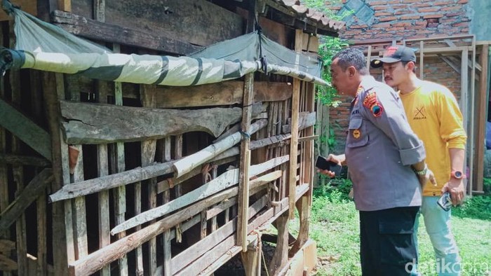 Polisi mengecek lokasi pencurian kambing di Trucuk, Klaten, Selasa (9/1/2024).