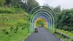 Potret Keseruan Seluncur dengan Luge Kart di Lembang