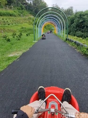 Noah's Park menyimpan berbagai aktivitas menarik.
