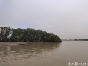 Pulau Arnavat yang Baru Ditemukan di Demak Menyimpan Mitos